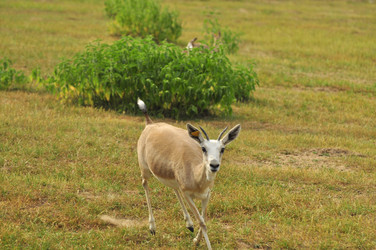 Similar image 22161219