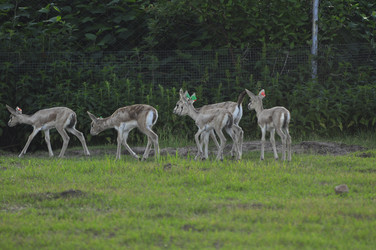 Similar image 22161220