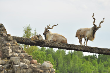 Similar image 22161221