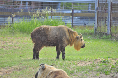 Similar image 22161222