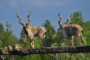 Similar image 22161223