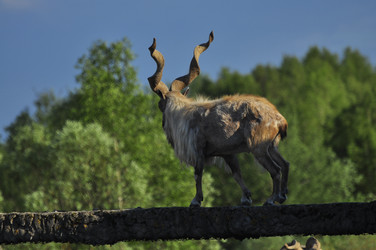 Similar image 22161224