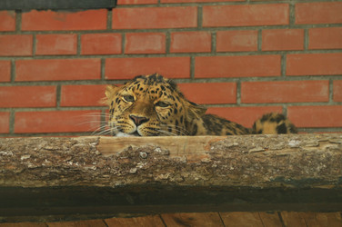 Similar image 22161229