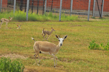 Similar image 22161230