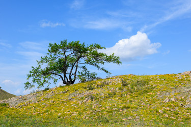 Similar image 22150116