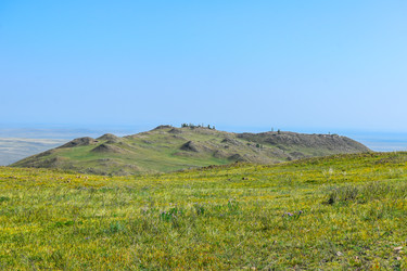 Similar image 22150120