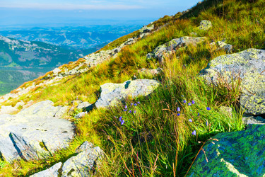 Similar image 22159300