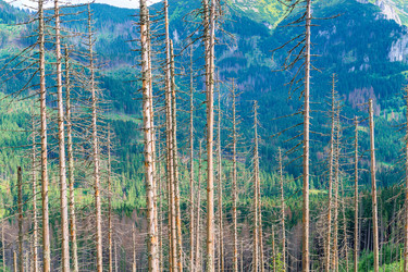 Similar image 22155609