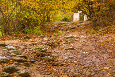 Similar image 22155613