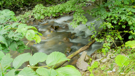 Similar image 22149000