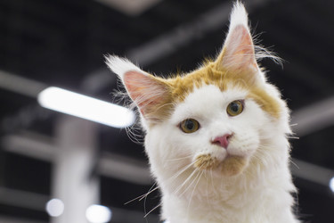 Similar image 22149616