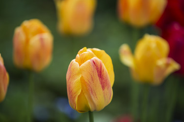 Similar image 22149635