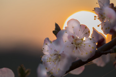 Similar image 22149649