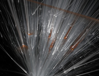 Similar image 22164566