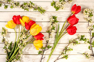 Similar image 22149001