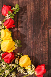 Similar image 22149002