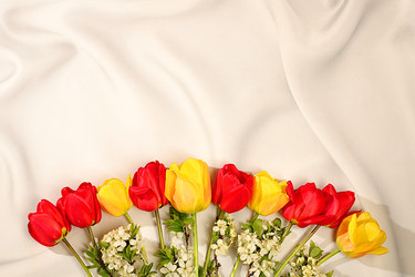 Similar image 22149006