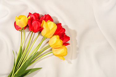 Similar image 22149007