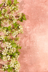 Similar image 22149009