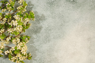 Similar image 22149010