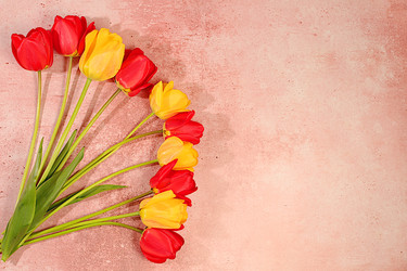 Similar image 22149011