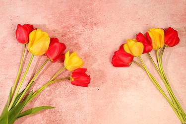 Similar image 22149012