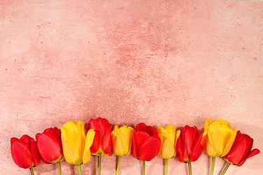 Similar image 22149013