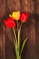 Similar image 22149014