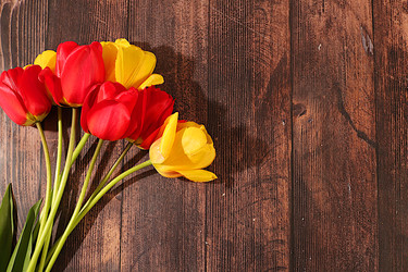 Similar image 22149015