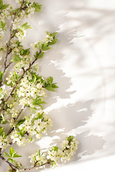 Similar image 22149016