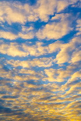 Similar image 22154803