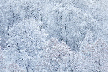 Similar image 22154805