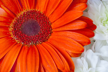 Similar image 22154817