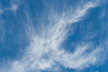 Similar image 22154829