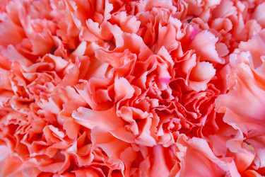 Similar image 22154831