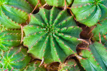 Similar image 22154839