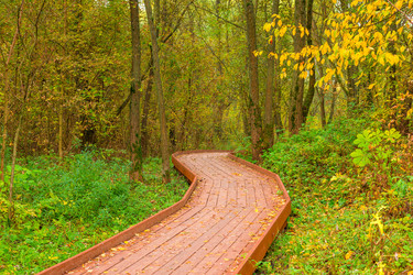 Similar image 22157291