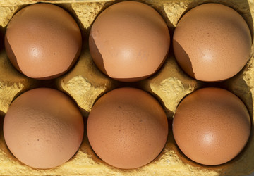 Similar image 22149672