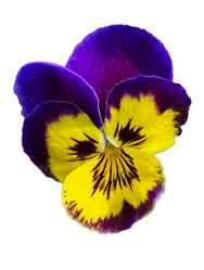 Similar image 22149678