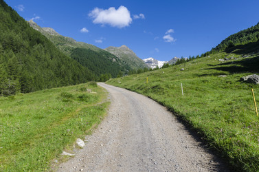 Similar image 22151725