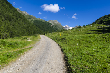 Similar image 22151727