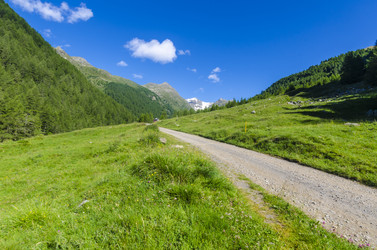 Similar image 22151728