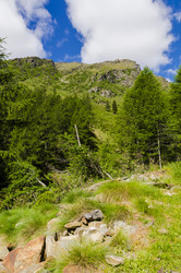 Similar image 22151733