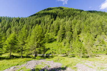 Similar image 22151737