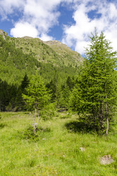 Similar image 22151744