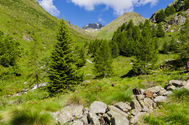 Similar image 22151747