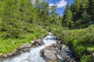 Similar image 22151752