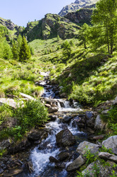 Similar image 22151755