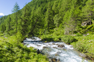 Similar image 22149111