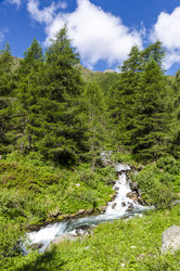 Similar image 22151445